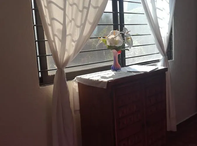 Bed & Breakfast Casa De Huespedes Xochimilco Mexico City