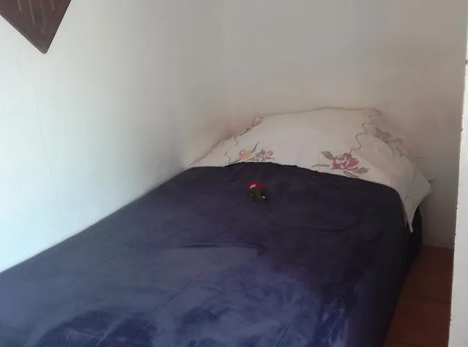 Casa De Huespedes Xochimilco Bed & Breakfast Mexico City